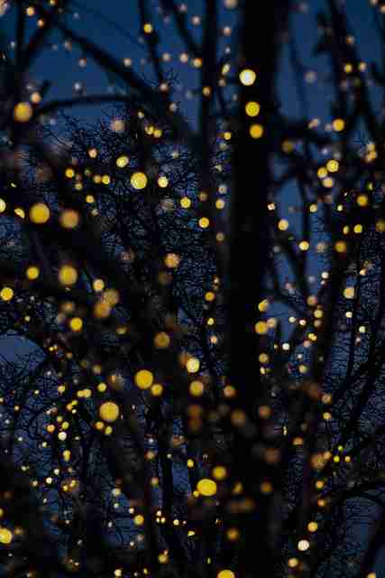 鉴黄师官网操作平台改版｜岗位机制大揭秘模块更智能