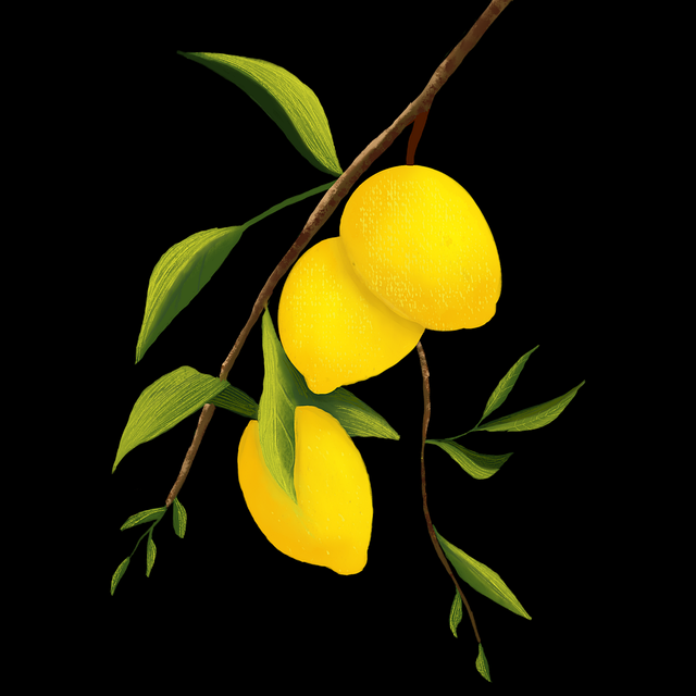 暗网禁地节点更新速览｜最新节点网络追踪用户涌入创新高