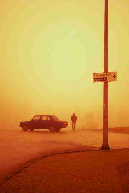 探花视频APP评论区高频热词｜观众投票热点反响热烈