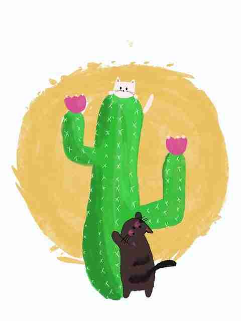 好色先生节奏感片段解构｜频道风格重塑计划节拍调度技巧分享