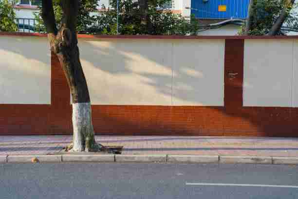 探花视频播放结构重组｜高能对话片段呈现更清晰逻辑