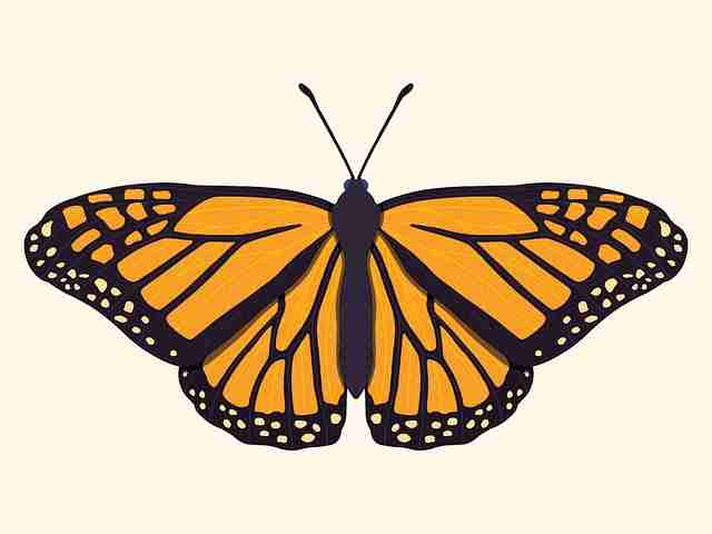 妻社网页版专题片段解析｜撩拨情绪感知为何打动人心